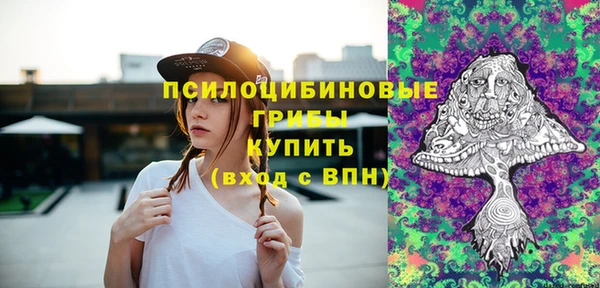 прущая мука Бородино